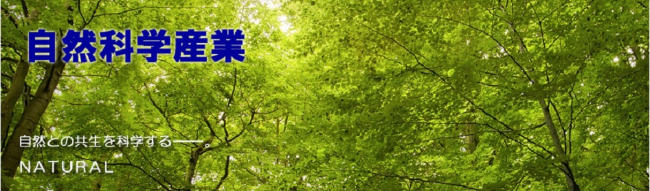 会社名